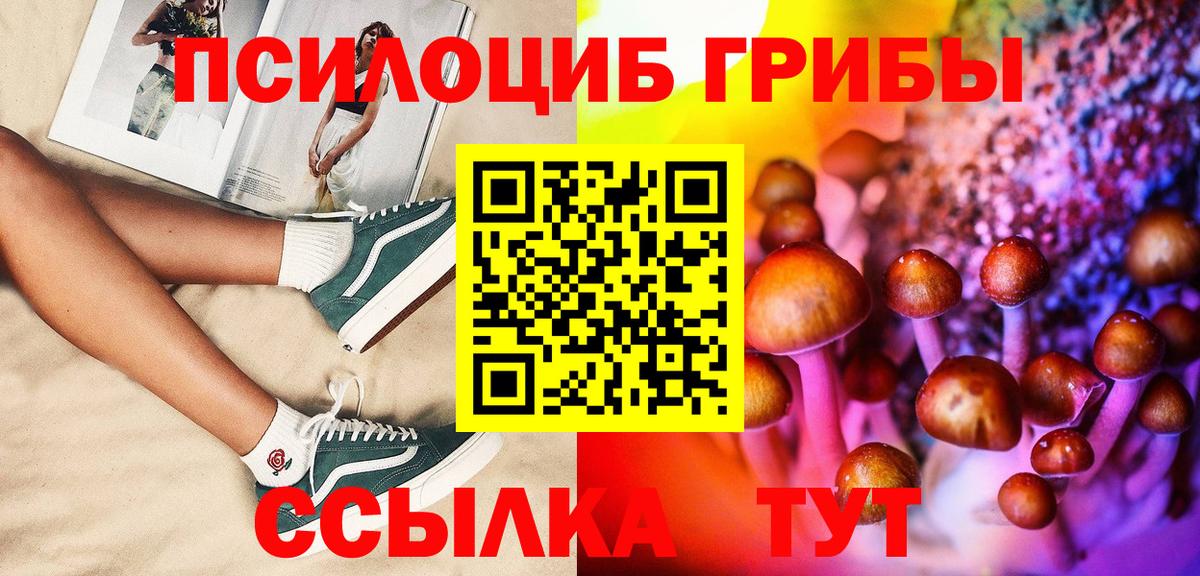 Псилоцибиновые грибы Magic Shrooms  Вход с VPN  сколько стоит  Нижнеудинск  Псилоцибиновые грибы MAGIC MUSHROOMS 