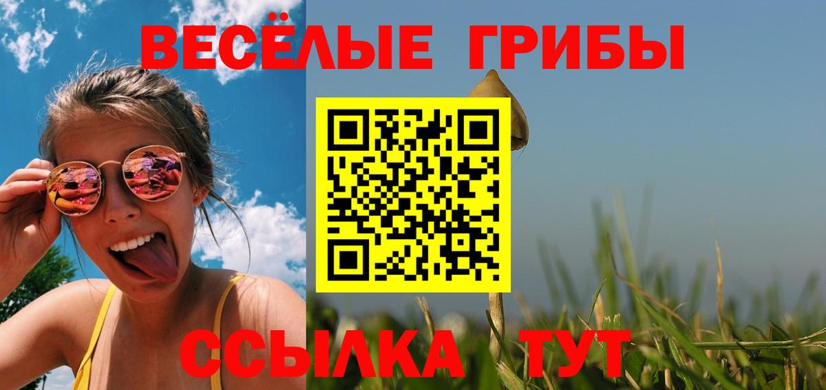 Галлюциногенные грибы Psilocybe Нижнеудинск